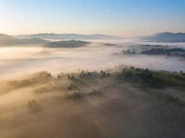 Ukrayna Karpatları 'nda sabah sisi. Hava aracı görünümü.