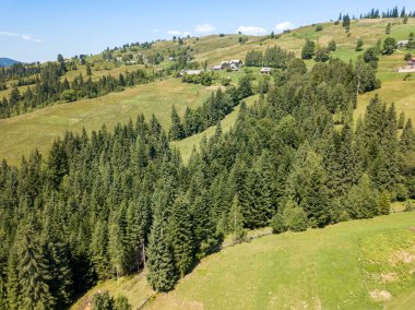 Yazın Ukrayna Karpatları 'nın yeşil dağları. Güneşli açık bir gün. Hava aracı görünümü.