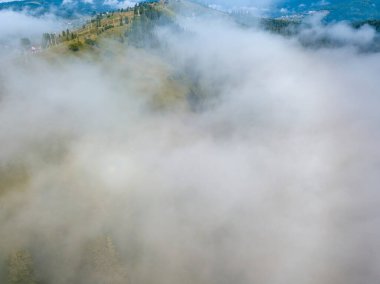 Ukrayna Karpatya dağlarında sabah sisi. Hava aracı görünümü.