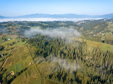 Bir yaz sabahı Ukrayna Karpatları dağları. Hava aracı görünümü.