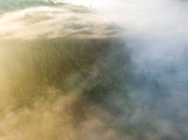 Ukrayna Karpatya dağlarında sabah sisi. Hava aracı görünümü.