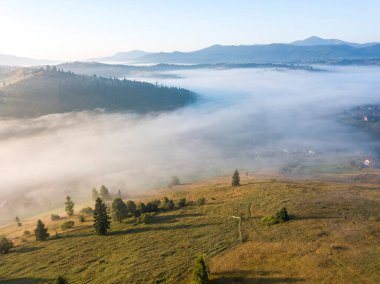 Bir yaz sabahı Ukrayna Karpatları dağları. Hava aracı görünümü.