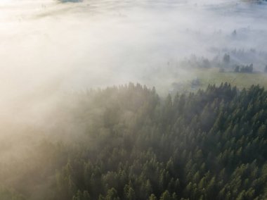 Ukrayna Karpatya dağlarında sabah sisi. Hava aracı görünümü.