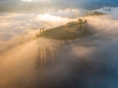 Ukrayna Karpatya dağlarında sabah sisi. Hava aracı görünümü.