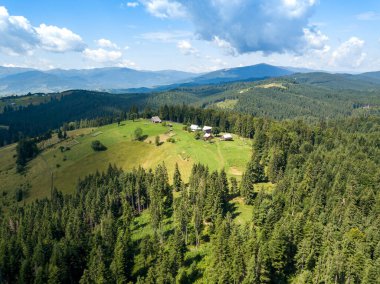 Yazın Ukrayna Karpatları 'nın yeşil dağları. Güneşli bir gün. Hava aracı görünümü.