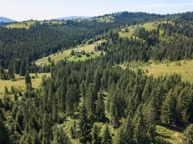 Yazın Ukrayna Karpatları 'nın yeşil dağları. Güneşli açık bir gün. Hava aracı görünümü.