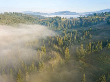 Sis dağ ormanını kaplıyor. Güneşin yükselen ışınları sisi delip geçer. Hava aracı görünümü.