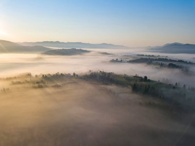 Ukrayna Karpatları 'nda sabah sisi. Hava aracı görünümü.