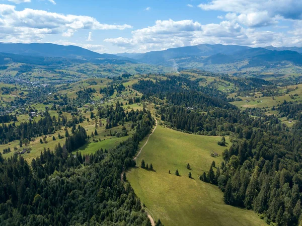 Zielone Góry Karpat Ukraińskich Lecie Drzewa Iglaste Stokach Widok Drona — Zdjęcie stockowe