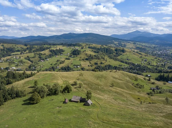 Montagne Verdi Carpazi Ucraini Estate Alberi Conifere Sulle Pendici Vista — Foto Stock
