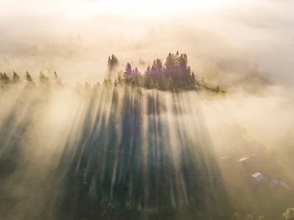 Fog Envelops Mountain Forest Rays Rising Sun Break Fog Aerial — Stock Photo, Image
