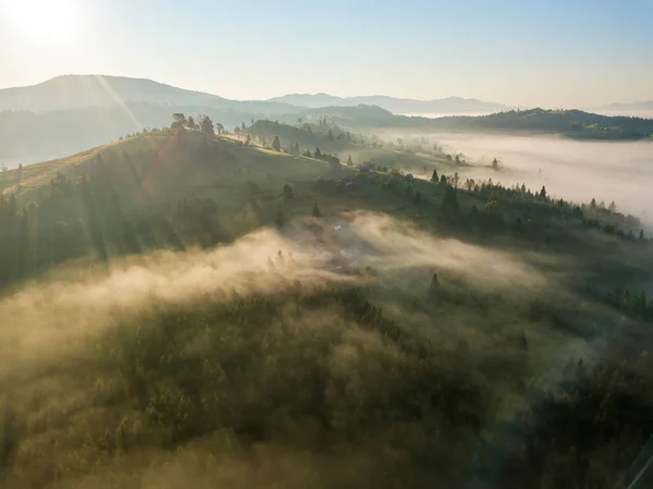 Morgennebel Den Ukrainischen Karpaten Drohnenblick Aus Der Luft — Stockfoto