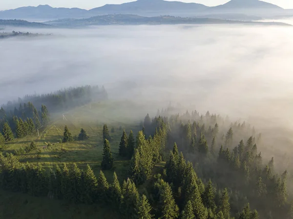 Туман Окутывает Горный Лес Луч Восходящего Солнца Прорывается Сквозь Туман — стоковое фото