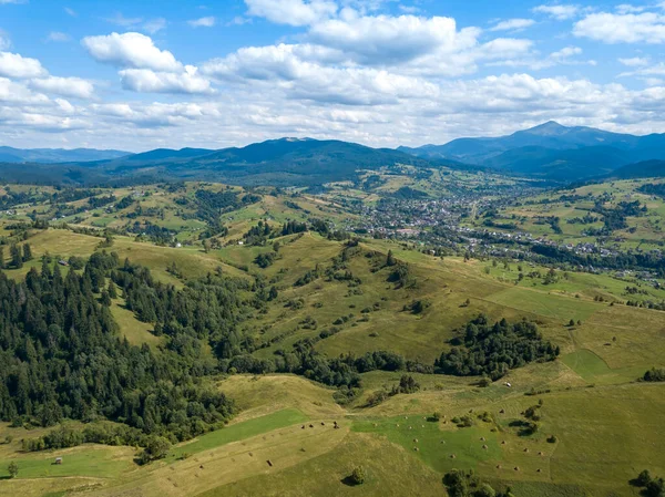 Groene Bergen Van Oekraïense Karpaten Zomer Naaldbomen Hellingen Luchtdrone Zicht — Stockfoto