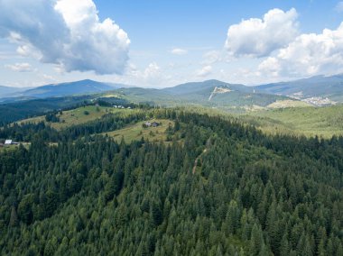Yazın Ukrayna Karpatları 'nın yeşil dağları. Güneşli bir gün. Hava aracı görünümü.