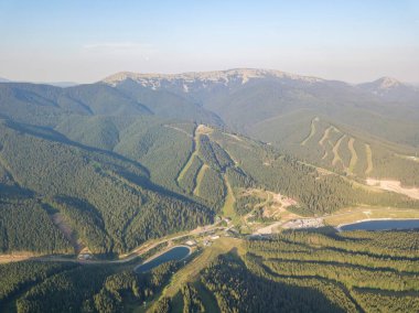Yazın Ukraynalı Karpatlar. Hava aracı görünümü.
