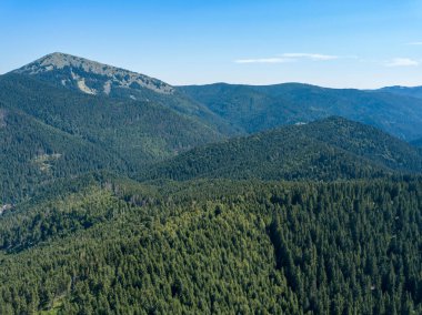 Yazın Ukrayna Karpatları 'nın yeşil dağları. Güneşli açık bir gün. Hava aracı görünümü.