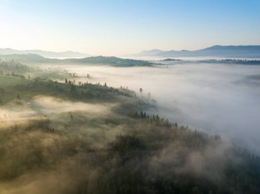 Ukrayna Karpatya dağlarında sabah sisi. Hava aracı görünümü.