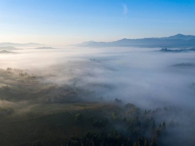Ukrayna Karpatya dağlarında sabah sisi. Hava aracı görünümü.