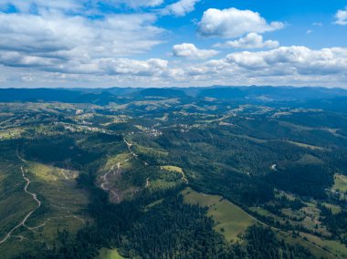 Yazın Ukrayna Karpatları 'nın yeşil dağları. Yamaçlarda kozalaklı ağaçlar. Hava aracı görünümü.