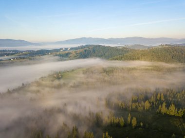 Ukrayna Karpatları 'nda sabah sisi. Hava aracı görünümü.