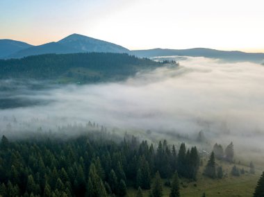 Ukrayna Karpatları 'nda sabah sisi. Hava aracı görünümü.