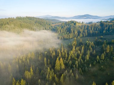 Sis dağ ormanını kaplıyor. Güneşin yükselen ışınları sisi delip geçer. Hava aracı görünümü.