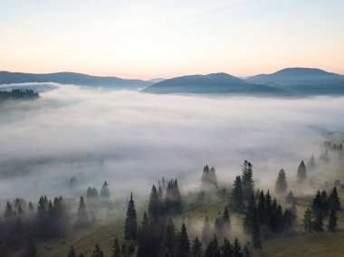 Ukrayna Karpatları 'nda sabah sisi. Hava aracı görünümü.