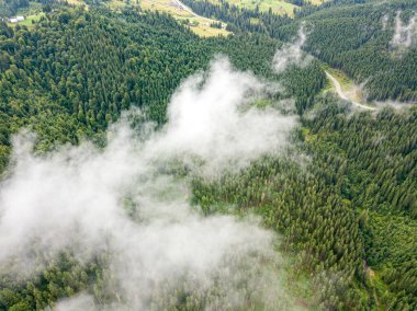 Bir yaz sabahı Ukrayna Karpatları dağları. Hava aracı görünümü.