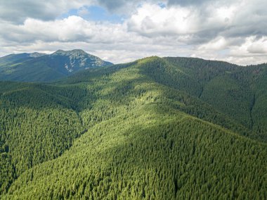 Güneşli havada Ukrayna Karpatlarının yüksek dağları. Hava aracı görünümü.