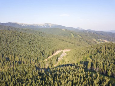 Yazın Ukrayna Karpatları 'nın yeşil dağları. Güneşli bir gün, nadir bulutlar. Hava aracı görünümü.