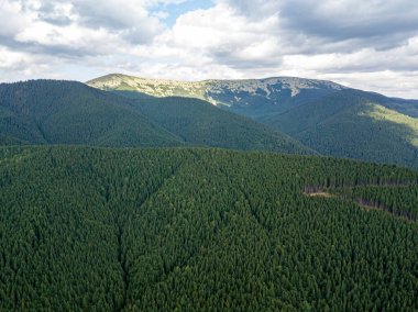 Yazın Ukrayna Karpat Dağları 'nın yeşil yamaçlarında. Bulutlu bir sabah, alçak bulutlar. Hava aracı görünümü.