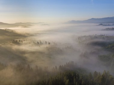 Ukrayna Karpatları 'nda sabah sisi. Hava aracı görünümü.