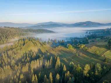 Ukrayna Karpatları 'nda sabah sisi. Hava aracı görünümü.