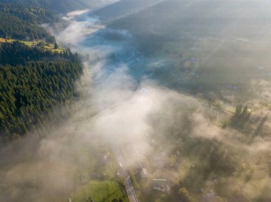 Sabah sisinde Ukrayna Karpatları 'nın yeşil dağları. Hava aracı görünümü.