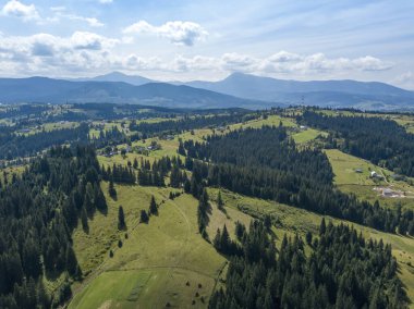 Yazın Ukrayna Karpatları 'nın yeşil dağları. Güneşli bir gün, nadir bulutlar. Hava aracı görünümü.