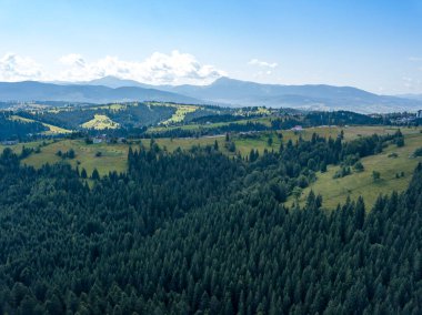 Yazın Ukrayna Karpatları 'nın yeşil dağları. Güneşli bir gün. Hava aracı görünümü.