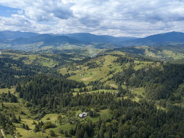 Las Montañas Verdes Los Cárpatos Ucranianos Verano Árboles Coníferas Las — Foto de Stock