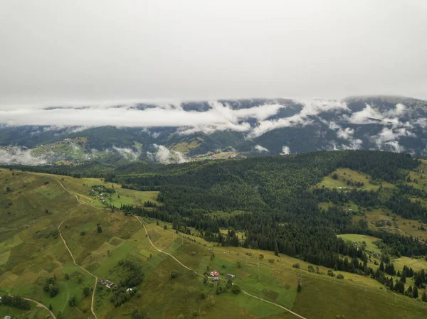 Zielone Zbocza Ukraińskich Karpat Lecie Chmurny Poranek Niskie Chmury Widok — Zdjęcie stockowe