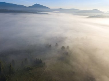 Ukrayna Karpatları 'nda sabah sisi. Hava aracı görünümü.