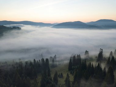 Ukrayna Karpatları 'nda sabah sisi. Hava aracı görünümü.