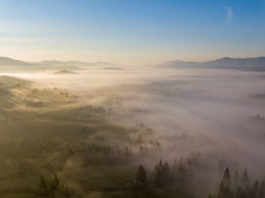 Ukrayna Karpatları 'nda sabah sisi. Hava aracı görünümü.