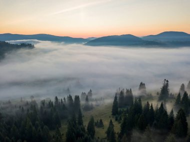 Ukrayna Karpatları 'nda sabah sisi. Hava aracı görünümü.