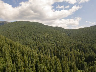 Yazın Ukrayna Karpatları 'nın yeşil dağları. Güneşli bir gün, nadir bulutlar. Hava aracı görünümü.