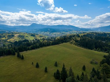 Yazın Ukrayna Karpatları 'nın yeşil dağları. Yamaçlarda kozalaklı ağaçlar. Hava aracı görünümü.