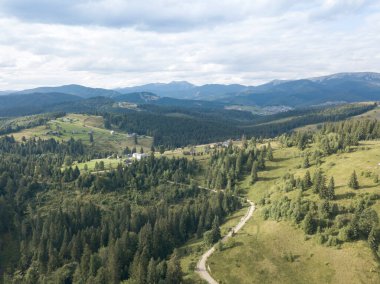 Yazın Ukrayna Karpatları 'nın yeşil dağları. Yamaçlarda kozalaklı ağaçlar. Hava aracı görünümü.