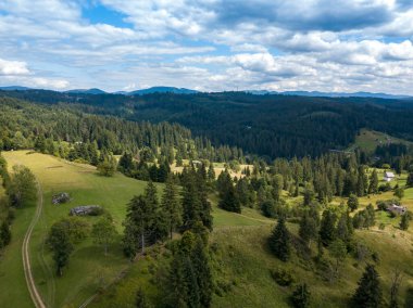 Yazın Ukrayna Karpatları 'nın yeşil dağları. Yamaçlarda kozalaklı ağaçlar. Hava aracı görünümü.