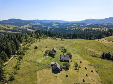 Yazın Ukrayna Karpatları 'nın yeşil dağları. Güneşli açık bir gün. Hava aracı görünümü.