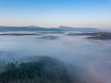 Ukrayna Karpatları 'nda sabah sisi. Hava aracı görünümü.