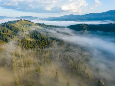 Sabah sisinde Ukrayna Karpatlarının yeşil dağları. Hava aracı görünümü.